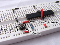 micro tactile switch in breadboard micro tactile switch in breadboard